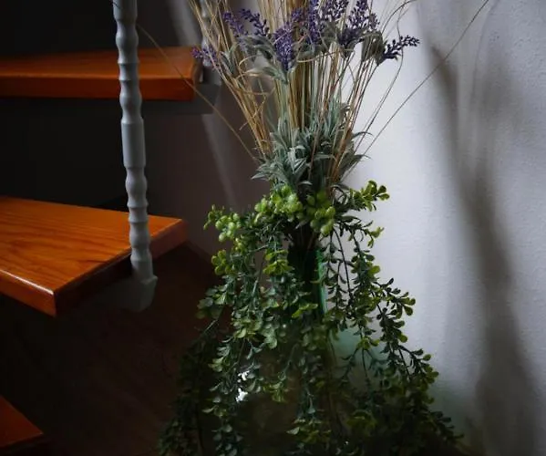 Casa Teide Semesterbostad La Orotava