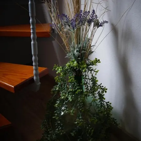 Casa Teide Σπίτι διακοπών La Orotava